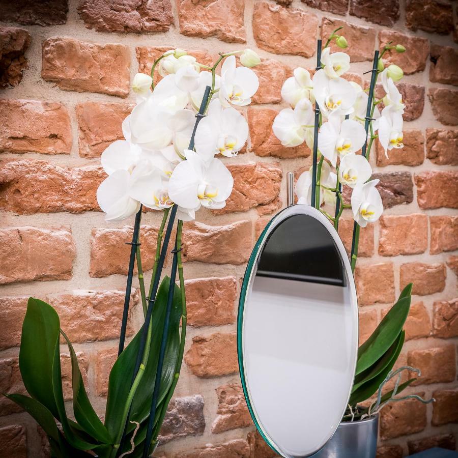 Apartamenty "Artaparts" Stare Miasto - Centrum Stary Toruń Esterno foto